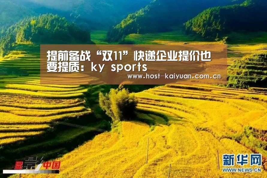 提前备战“双11”快递企业提价也要提质:ky sports(图4) 开元棋牌电脑版